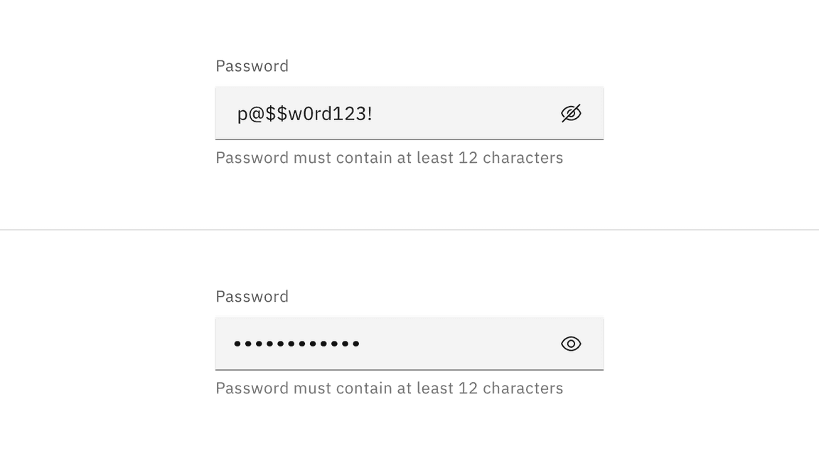 Example of a password input